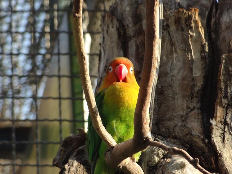 [Santiago_Zoo_DSC03709%255B2%255D.jpg]