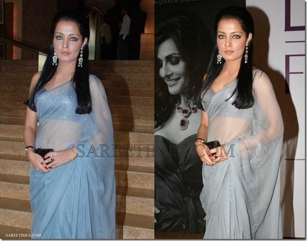 Celina_Jaitley_Plain_Saree