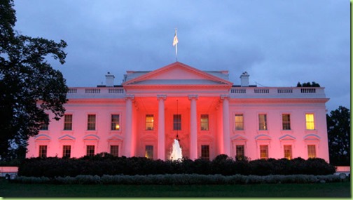 ap_white_house_breast_cancer_pink_thg_111003_wmain