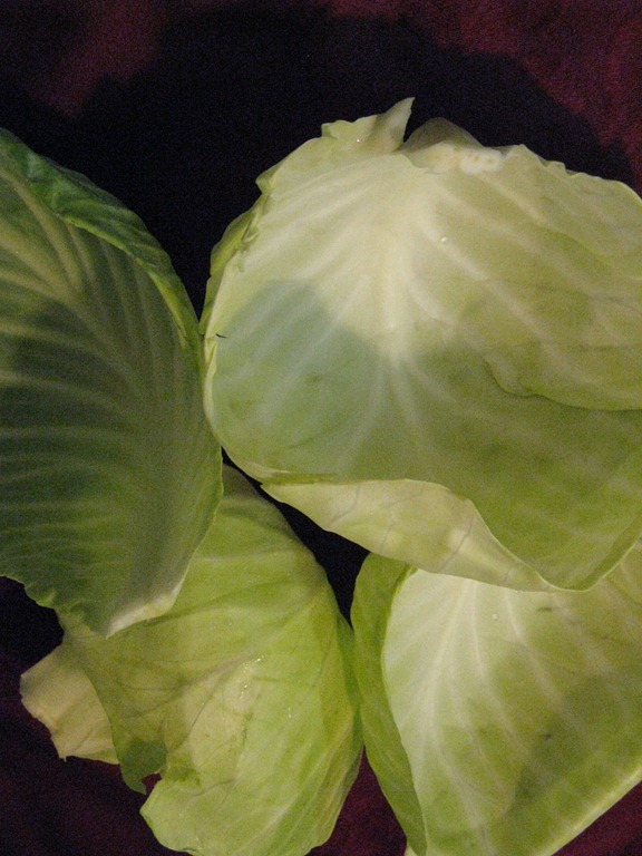 [Cabbage-Leaves3.jpg]