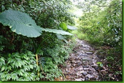 IMG_0018 IMG_0018