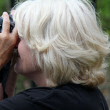 Robin capturing owls