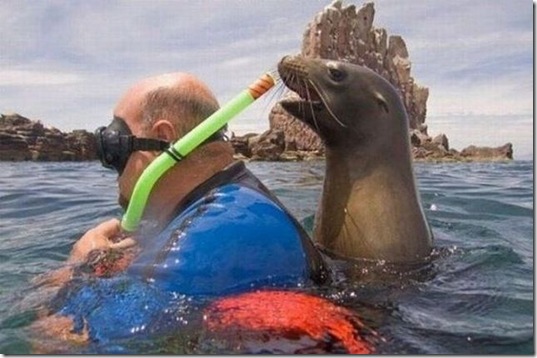 viral-picdump-pics-28