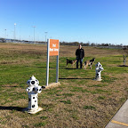 Pet Pit Stop at a Tourist Info Center