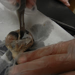 DSCN5170.JPG