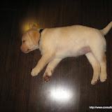 DaphneDay2 DaphneDay2