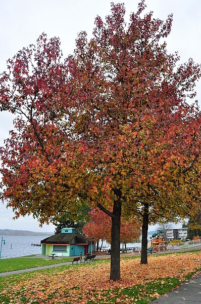DSC_4951.JPG DSC_4951.JPG