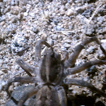 IMAG0330.jpg