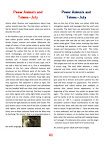 Issue 23 July 2008 Vol 2 Power Animals And Totems