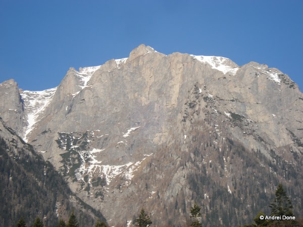 DSC00093.jpg