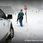 IMG_7936.JPG