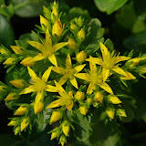 IMGP6752.jpg