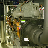IMGP2117.JPG