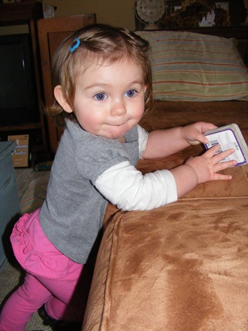 [DSCF0245%255B3%255D.jpg]