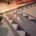 R0027683.JPG