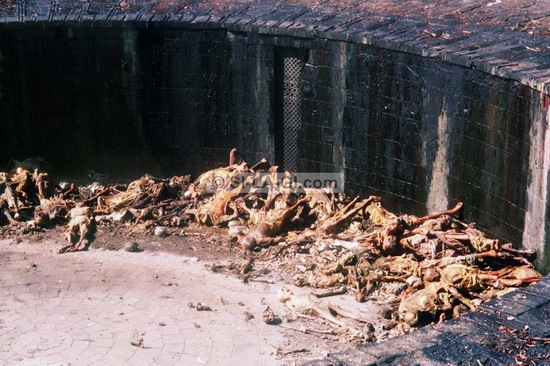 [Mummification%2520body%2520in%2520Tower%2520of%2520Silence%252002%255B2%255D.jpg]