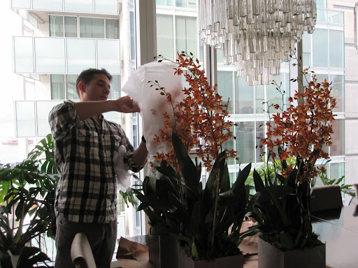 These arrangements are tall and will be perfectly displayed later in the evening on one of my longer tables in my living room.