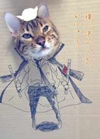 Best Cat Cosplay Ever!