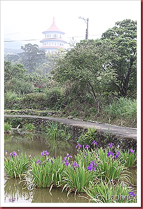 IMG_2446 IMG_2446