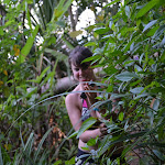 P1100259.JPG