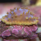 DSC_2146.jpg