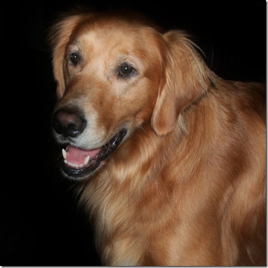 Wally23Jan2013 Wally23Jan2013