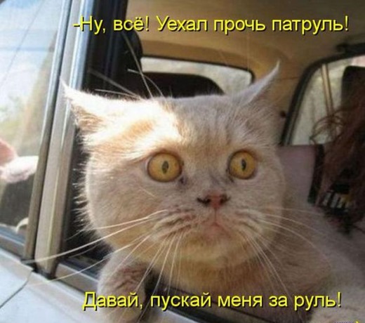 [72762ec674f8d0d0a36f501903c_prev%255B4%255D.jpg]