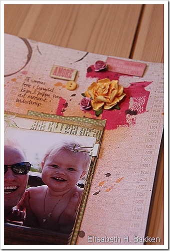 IMG_1672 IMG_1672