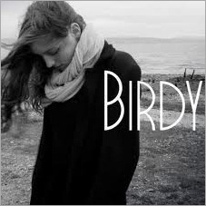 birdy shelter