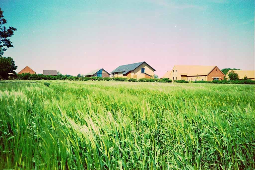 [Summer-Barley-5---XPRO%255B3%255D.jpg]