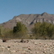 View album