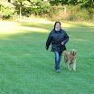 Herbstprüfung 2011 008.JPG