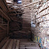 R0027288.JPG