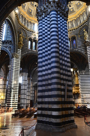 [cathedral%2520zebra_%255B4%255D.jpg]
