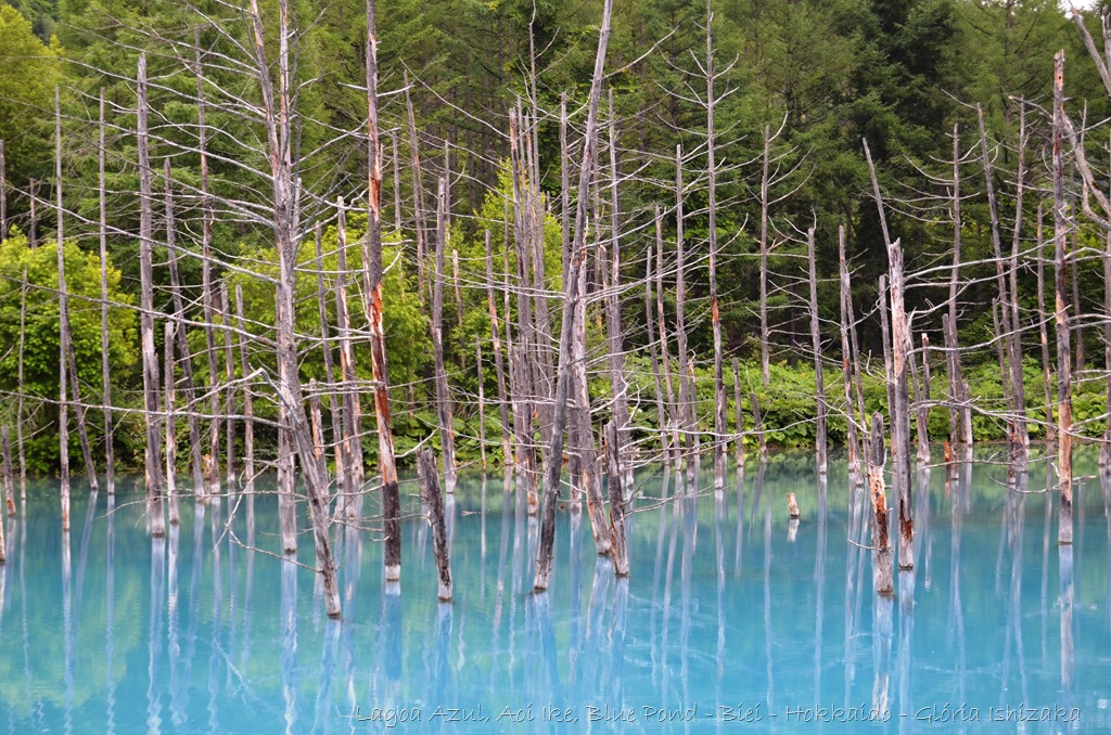 [Lagoa%2520Azul%2520-%2520Biei%2520-%2520Hokkaido%2520-%2520Gl%25C3%25B3ria%2520Ishizaka%2520-%252031%255B3%255D.jpg]