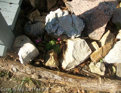 Garden Harvest  last week Nov 2011 001