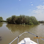 IMG_5736.JPG