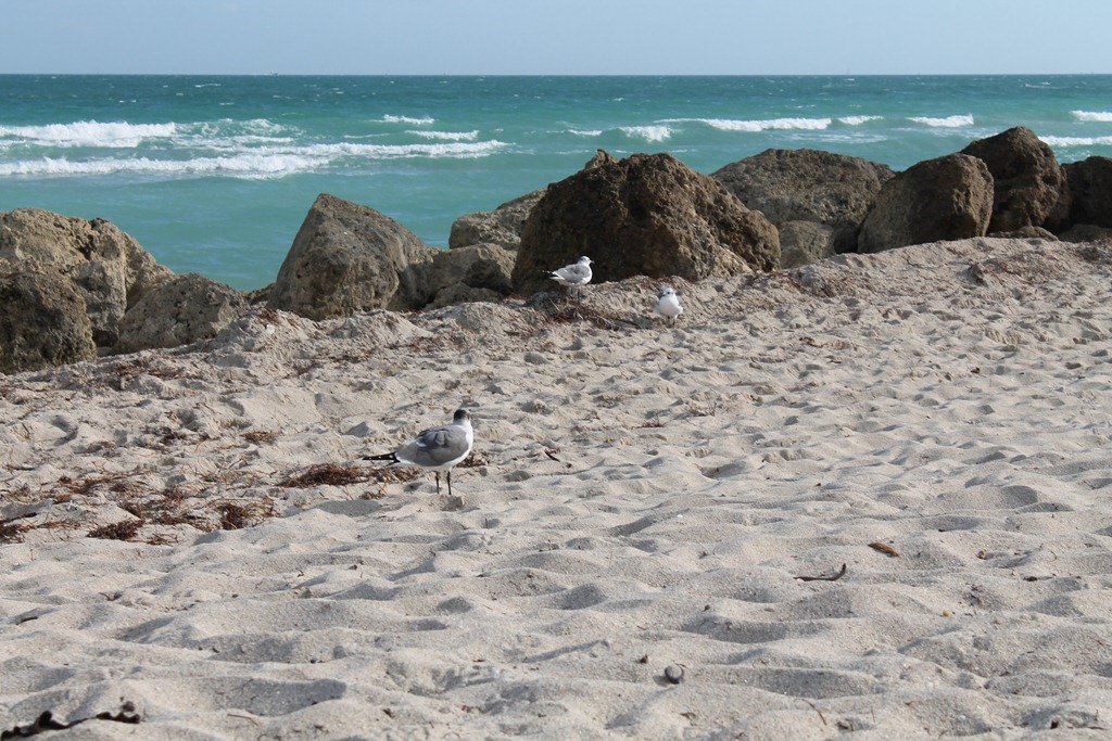 [Miami%2520035%255B8%255D.jpg]
