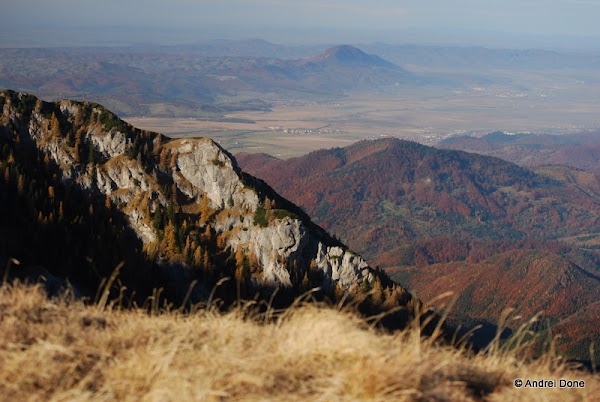 20.jpg 20.jpg