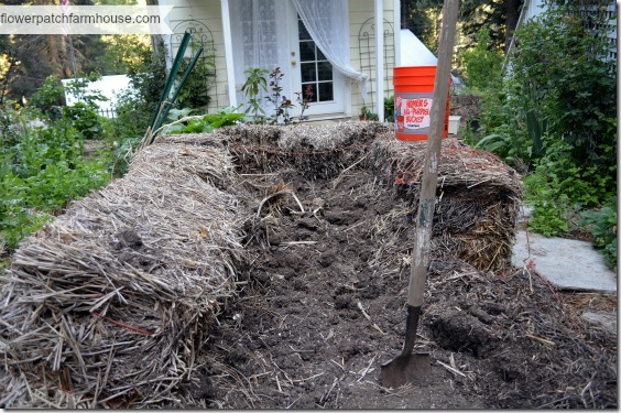 straw bale raised bed 560