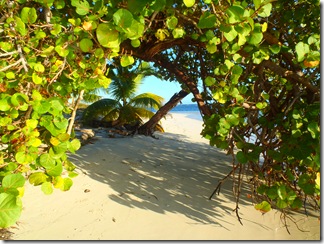 Nicolas Cay, Belize