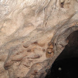 写真４：洞窟内部。壁面のくぼみにアナツバメが営巣している。