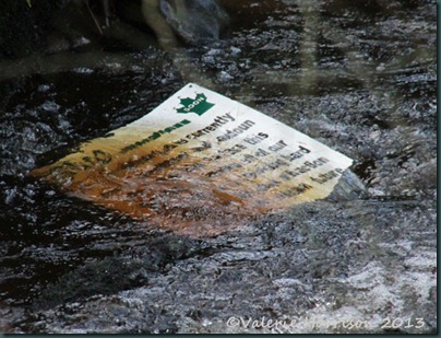 52-sign-in-river 52-sign-in-river