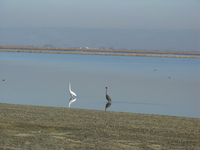 Alameda Crk 095.JPG Photo