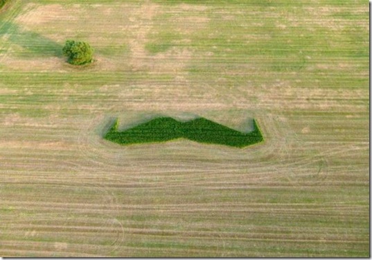viral-picdump-pics-30