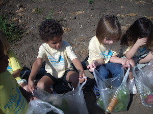 Look at our vegetables!