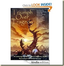 Triumph Over Tragedy_kindle