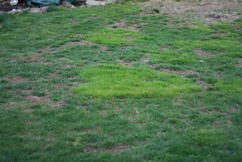 [spring%25202012%25201370135%255B5%255D.jpg]