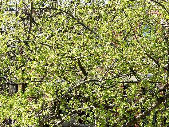 [Spring%25203%255B3%255D.jpg]