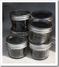 dried black currant, ray tousey, rhinebeck farmers market